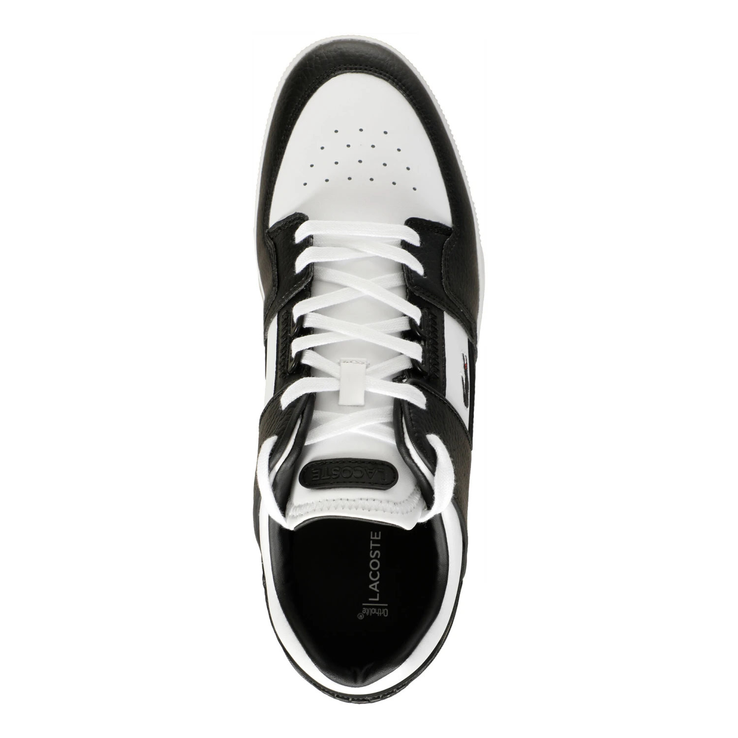 Lacoste Court Cage Loisir Hommes – Image 3